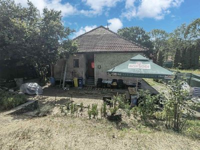 Ház