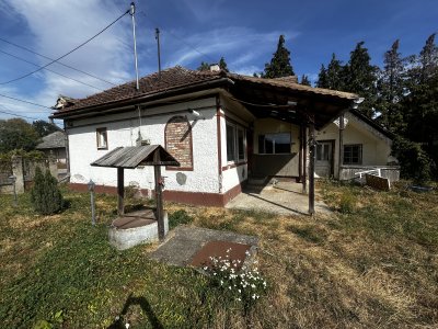 Ház