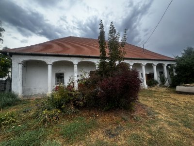 Ház
