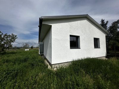 Ház