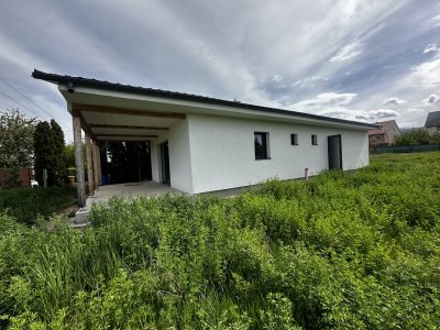 Ház