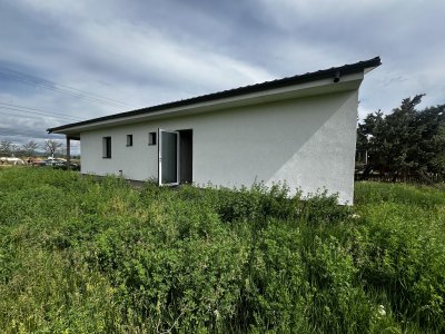 Ház