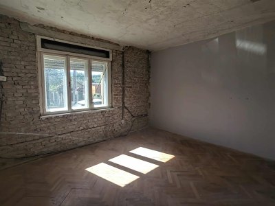 Ház