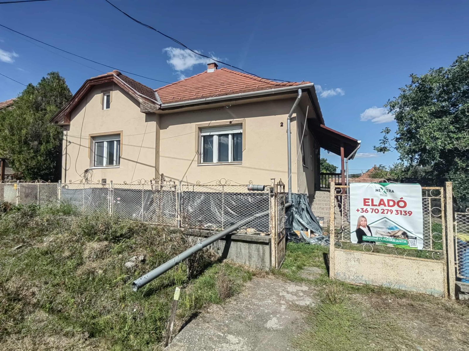 Ház