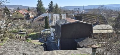 Ikerház
