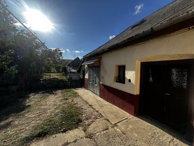 Ház